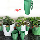 Maxbell Nursery Pot Planter Strawberry Roots Propagation Station for Planting Garden