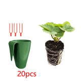 Maxbell Nursery Pot Planter Strawberry Roots Propagation Station for Planting Garden