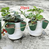 Maxbell Nursery Pot Planter Strawberry Roots Propagation Station for Planting Garden