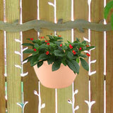 Maxbell 3Pcs Plant Holder Rustic Wall Flower Pot Holder for Garden Decoration Office light brown