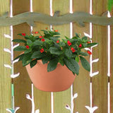 Maxbell 3Pcs Plant Holder Rustic Wall Flower Pot Holder for Garden Decoration Office dark brown