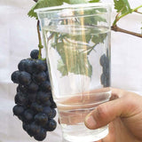 Maxbell 5 Pieces Grape Dipping Cup Portable for Orchard, Farm, Garden Gardening Tool