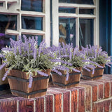 Maxbell Wood Barrel Planter Unique Rustic Flower Holder for Plants Garden Home Decor