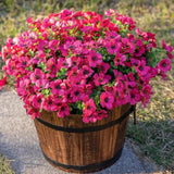 Maxbell Wood Barrel Planter Rustic Gift Flower Holder for Entryway Plants Home Decor