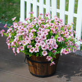 Maxbell 5x Wooden Barrel Planters Versatile Farmhouse Home Office Decor with Handles