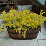 Maxbell Planter Versatile Artwork Crafts Plant Container for Home Living Room Indoor oval