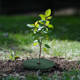 Maxbell 10Pcs Tree Mulch Rings for Weed Control Gardening Round Fruit Tree Protector XXS