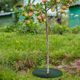Maxbell 10Pcs Tree Mulch Rings for Weed Control Gardening Round Fruit Tree Protector XL