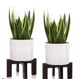 Maxbell Wood Plant Stand Outdoor Rustic Plant Shelf for Farmhouse Garden Dining Room