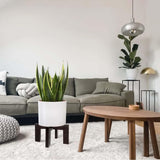 Maxbell Wood Plant Stand Outdoor Rustic Plant Shelf for Farmhouse Garden Dining Room