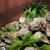 Maxbell Imitation Rock Weather Resistant Crafts Landscape Rock for Garden Lawn Porch 33x23x23cm