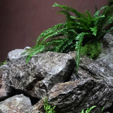 Maxbell Imitation Rock Weather Resistant Crafts Landscape Rock for Garden Lawn Porch 33x23x23cm