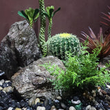 Maxbell Imitation Rock Weather Resistant Crafts Landscape Rock for Garden Lawn Porch 33x23x23cm