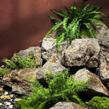 Maxbell Imitation Rock Weather Resistant Crafts Landscape Rock for Garden Lawn Porch 35x22x27cm