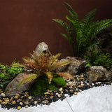 Maxbell Imitation Rock Weather Resistant Crafts Landscape Rock for Garden Lawn Porch 32x25x17cm