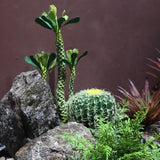 Maxbell Artificial Rock Lightweight Sandstone Landscape for Decorating Parks Offices Style A