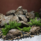 Maxbell Artificial Rock Lightweight Sandstone Landscape for Decorating Parks Offices Style C