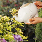 Maxbell Elephant Watering Can Lovely Garden Water Can for Patio Indoor Plants Bonsai