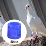 Maxbell 50 Pieces 0.35inch Race Pigeon Leg Snap Ring Multipurpose Plastic