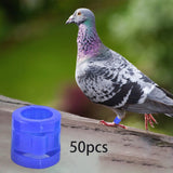 Maxbell 50 Pieces 0.35inch Race Pigeon Leg Snap Ring Multipurpose Plastic