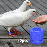 Maxbell 50 Pieces 0.35inch Race Pigeon Leg Snap Ring Multipurpose Plastic