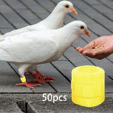Maxbell 50 Pieces 0.35inch Race Pigeon Leg Snap Ring Multipurpose Plastic