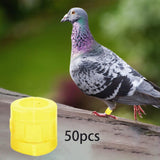 Maxbell 50 Pieces 0.35inch Race Pigeon Leg Snap Ring Multipurpose Plastic