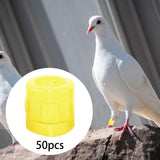 Maxbell 50 Pieces 0.35inch Race Pigeon Leg Snap Ring Multipurpose Plastic