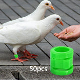 Maxbell 50 Pieces 0.35inch Race Pigeon Leg Snap Ring Multipurpose Plastic