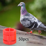Maxbell 50 Pieces 0.35inch Race Pigeon Leg Snap Ring Multipurpose Plastic