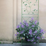 Maxbell Garden Trellis with Plant Stands Detachable for Backyard Garden Decor