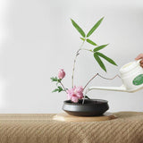 Maxbell Small Watering Can Watering Pot for Indoor Outdoor Plants Patio House Plants