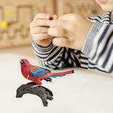 Maxbell Realistic Bird Figure Educational Toy Animal Figure for Desktop Balcony Yard Red Head