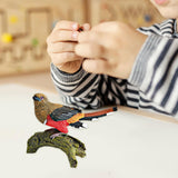 Maxbell Realistic Bird Figure Educational Toy Animal Figure for Desktop Balcony Yard Khaki Head