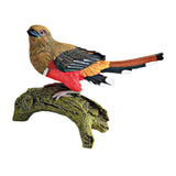Maxbell Realistic Bird Figure Educational Toy Animal Figure for Desktop Balcony Yard Khaki Head