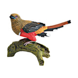 Maxbell Realistic Bird Figure Educational Toy Animal Figure for Desktop Balcony Yard Khaki Head