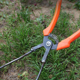 Maxbell Sweet Potato Transplant Tool Planter Tool for Peppers Green Onion Greenhouse