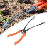 Maxbell Sweet Potato Transplant Tool Planter Tool for Peppers Green Onion Greenhouse