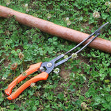 Maxbell Sweet Potato Transplant Tool Planter Tool for Peppers Green Onion Greenhouse