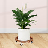 Maxbell Potted Plant Rolling Stand Plant Dolly Round 30x7.8cm for Patio Yard or Deck