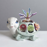 Maxbell Turtle Figurine Flower Pot Ceramic Decorative Planter for Office Garden Yard
