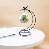 Maxbell Micro Landscape Rack Glass Bottle Hanging Holder for Wedding Party Apartment