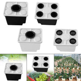 Maxbell Growing Dutch Barrels Deep Water Culture for Greenhouse Soilless Cultivation black with1 hole lid