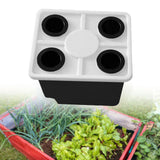 Maxbell Growing Dutch Barrels Deep Water Culture for Greenhouse Soilless Cultivation black with4 hole lid