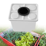 Maxbell Growing Dutch Barrels Deep Water Culture for Greenhouse Soilless Cultivation white with1 hole lid