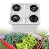 Maxbell Growing Dutch Barrels Deep Water Culture for Greenhouse Soilless Cultivation white with4 hole lid