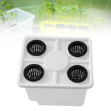 Maxbell Growing Dutch Barrels Deep Water Culture for Greenhouse Soilless Cultivation white with4 hole lid