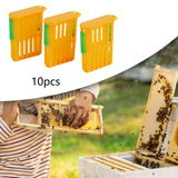 Maxbell 10x Bee Queen Cage Beekeeping Supplies High Performance Queen Cages for Bee