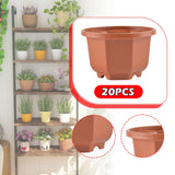 Maxbell 20x Flower Pots Modern Containers with Drain Holes for Shelf Balcony Desktop 13cmx7.5cm