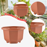 Maxbell 20x Flower Pots Modern Containers with Drain Holes for Shelf Balcony Desktop 13cmx7.5cm